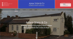 Desktop Screenshot of adamsteinandco.co.uk